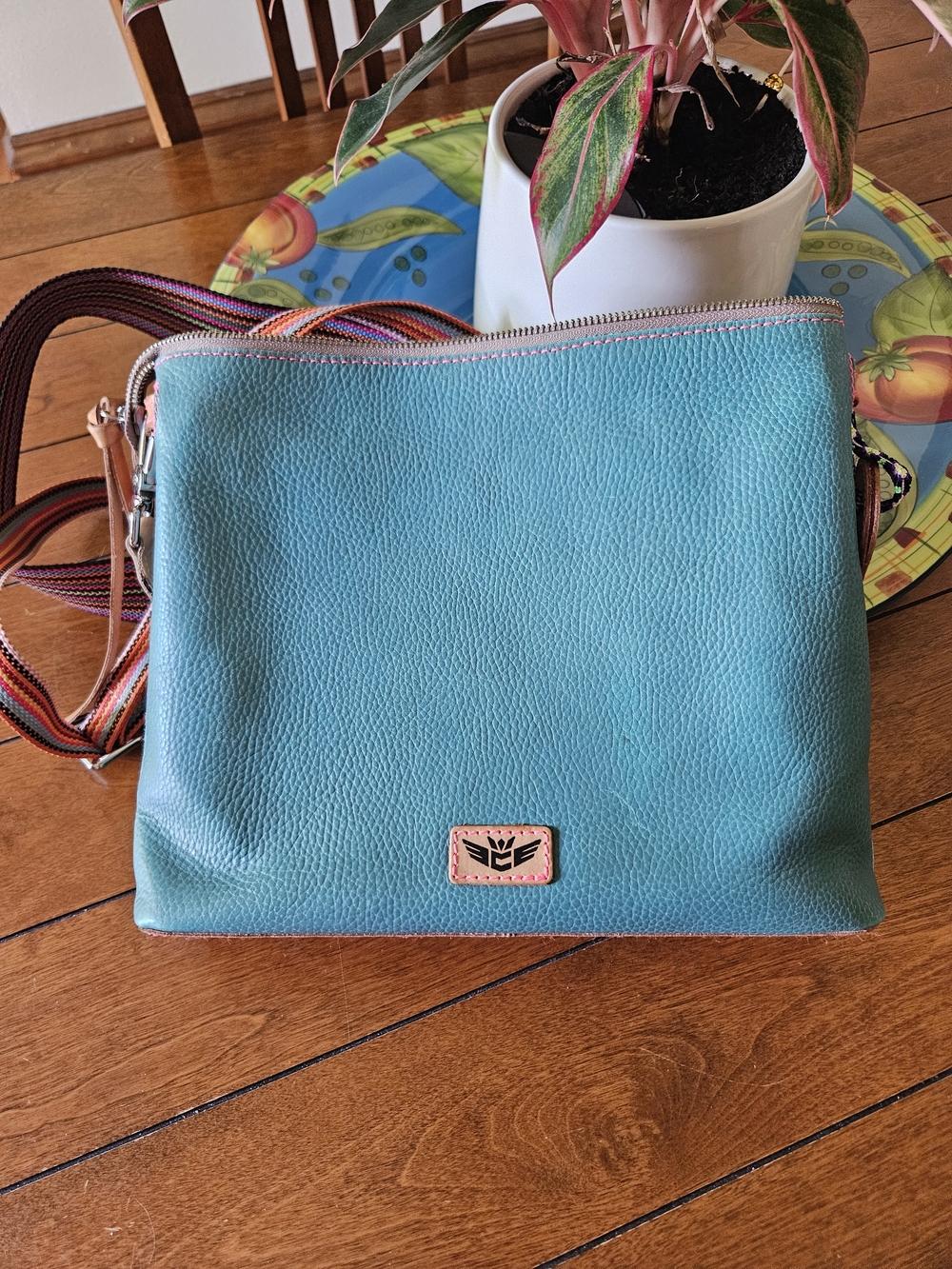Consuela Teal Crossbody Bag with Multicolor Web Straps